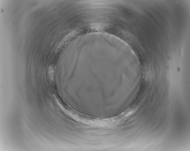 X0000054460036200508191713