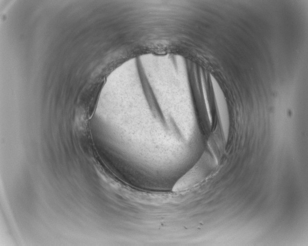 X0000054460037200508191713