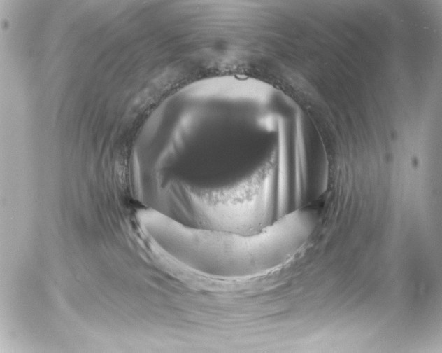 X0000054460039200508191713