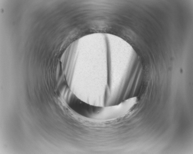 X0000054460040200508191713