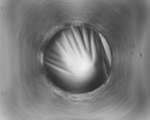 X0000054460041200508191713