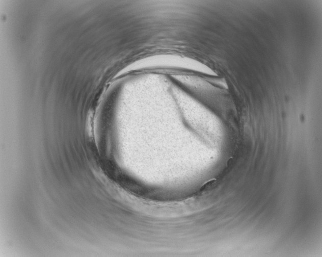 X0000054460042200508191713
