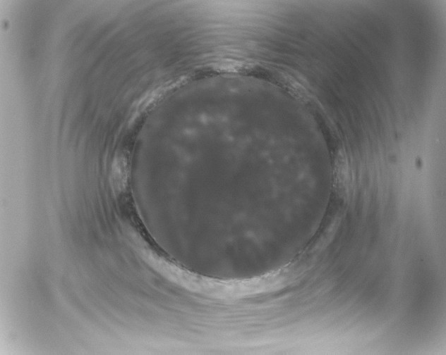 X0000054460043200508191713