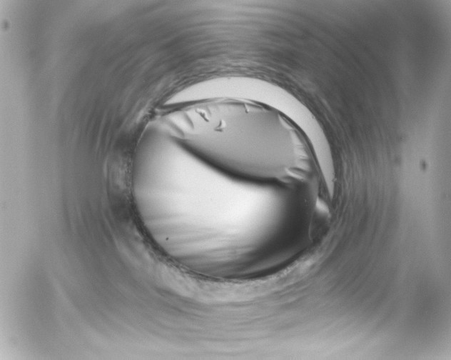 X0000054460044200508191713