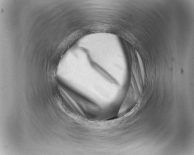 X0000054460045200508191713
