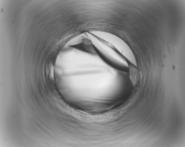X0000054460046200508191713