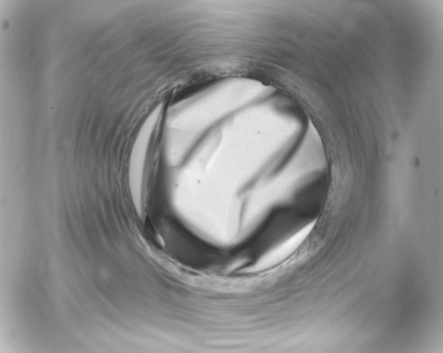 X0000054460048200508191713