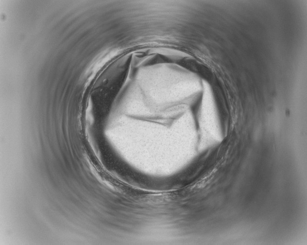X0000054460050200508191713