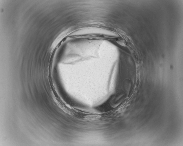 X0000054460051200508191713
