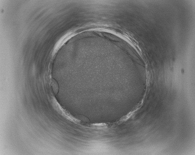 X0000054460053200508191713