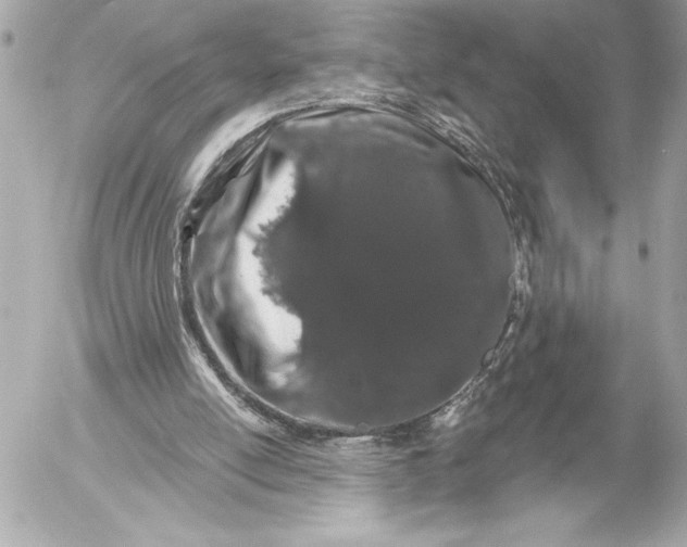 X0000054460054200508191713
