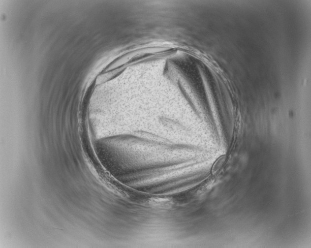 X0000054460055200508191713