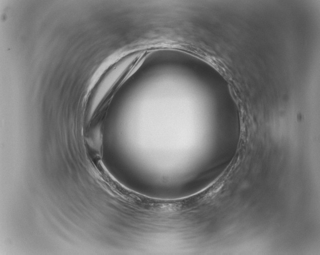 X0000054460056200508191713