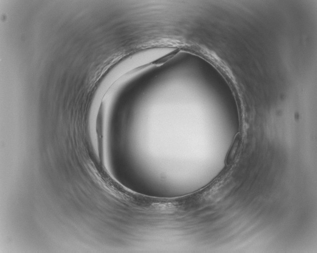 X0000054460057200508191713