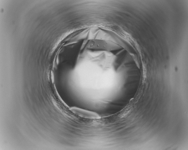 X0000054460060200508191713