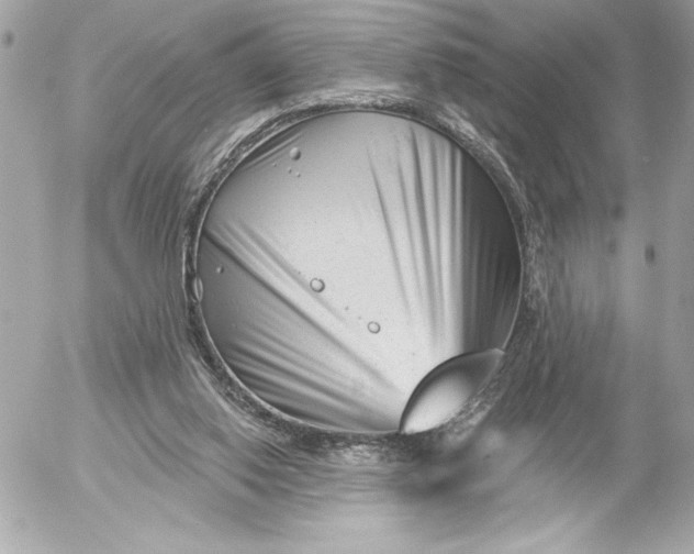 X0000054460062200508191713