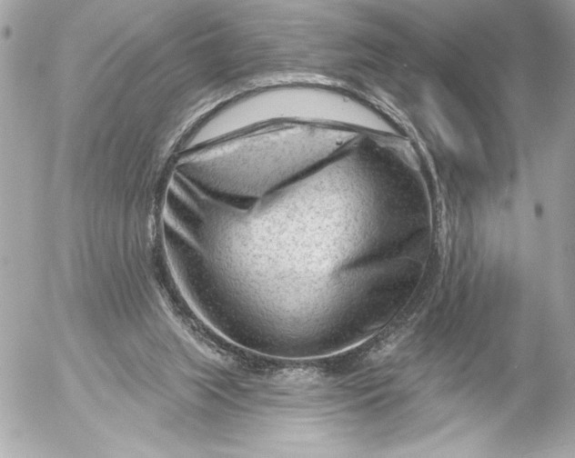 X0000054460063200508191713