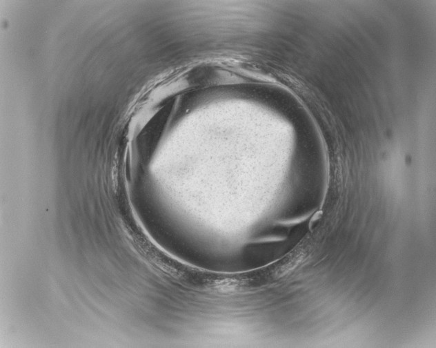 X0000054460064200508191713