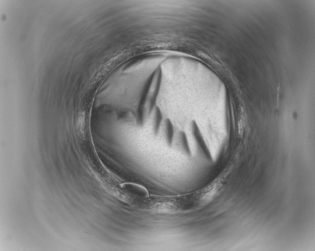 X0000054460066200508191713