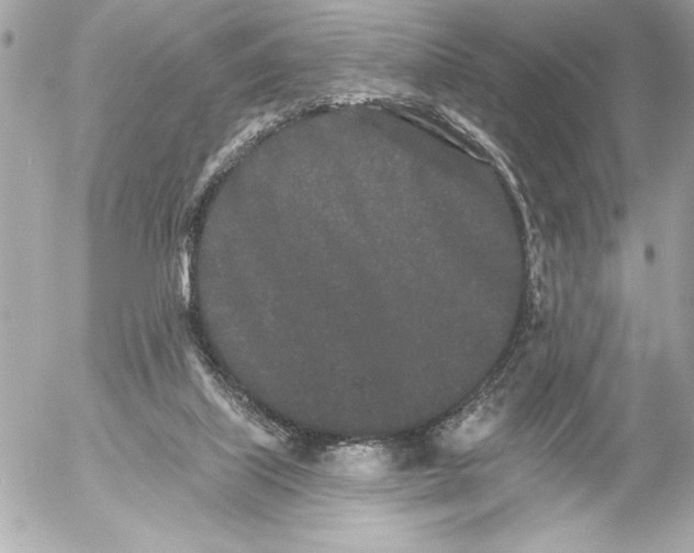 X0000054460067200508191713
