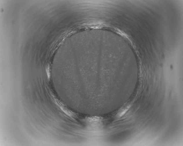 X0000054460069200508191713