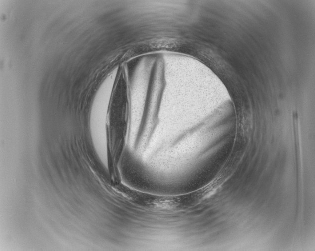 X0000054460070200508191713