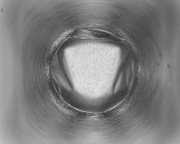 X0000054460072200508191713