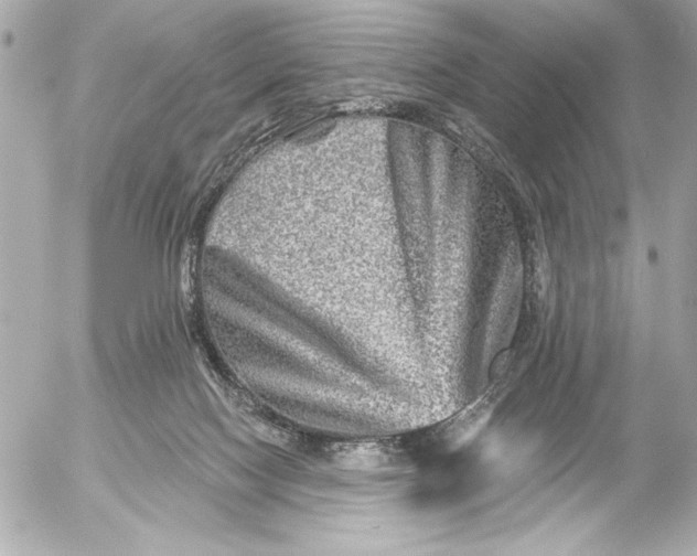 X0000054460074200508191713