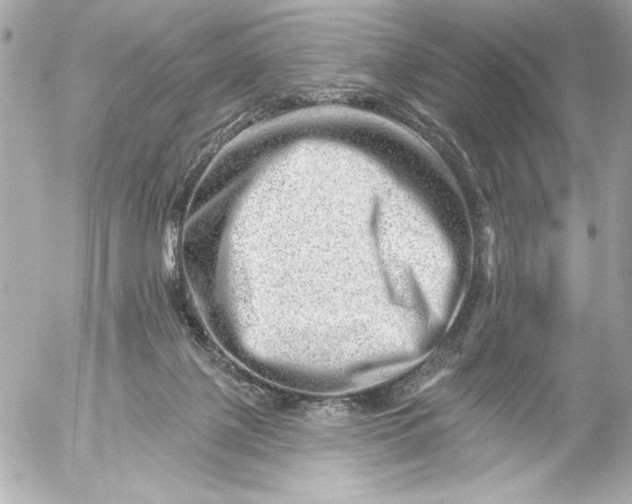 X0000054460075200508191713