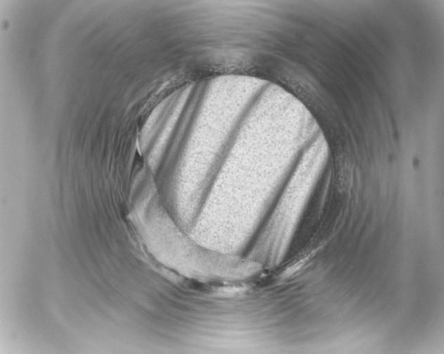 X0000054460077200508191713