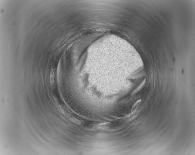 X0000054460078200508191713