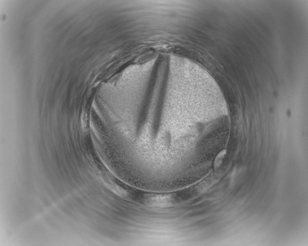 X0000054460081200508191713