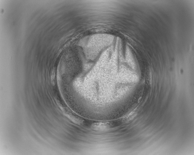 X0000054460082200508191713