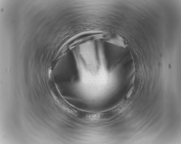 X0000054460084200508191713