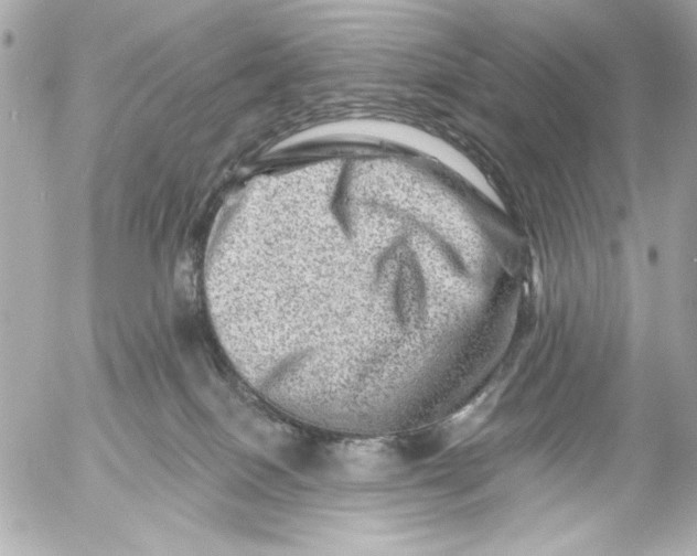 X0000054460086200508191713