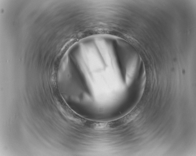 X0000054460088200508191713