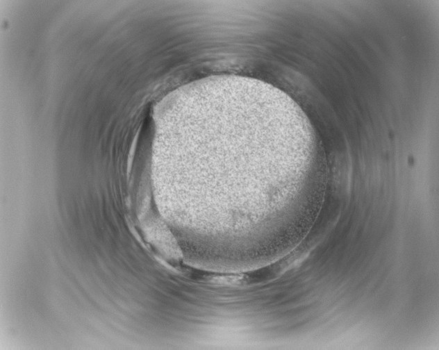 X0000054460089200508191713