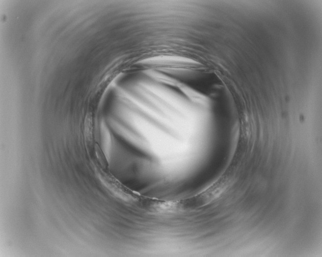 X0000054460092200508191713