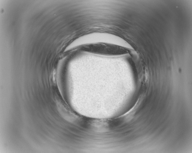 X0000054460094200508191713