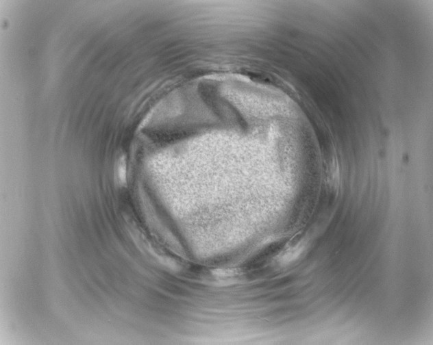 X0000054460095200508191713