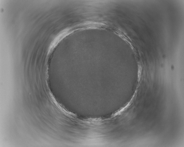 X0000054460101200508191712