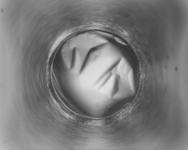 X0000054460102200508191712