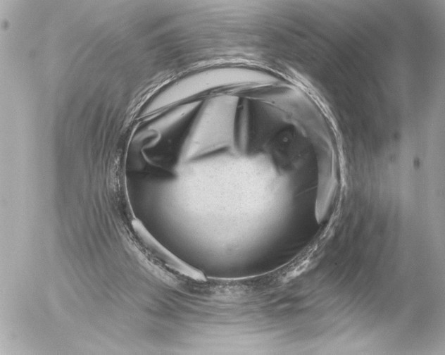 X0000054460105200508191712