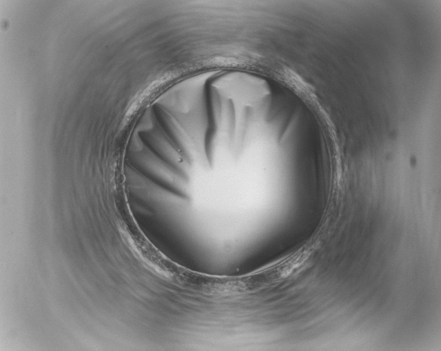 X0000054460106200508191712