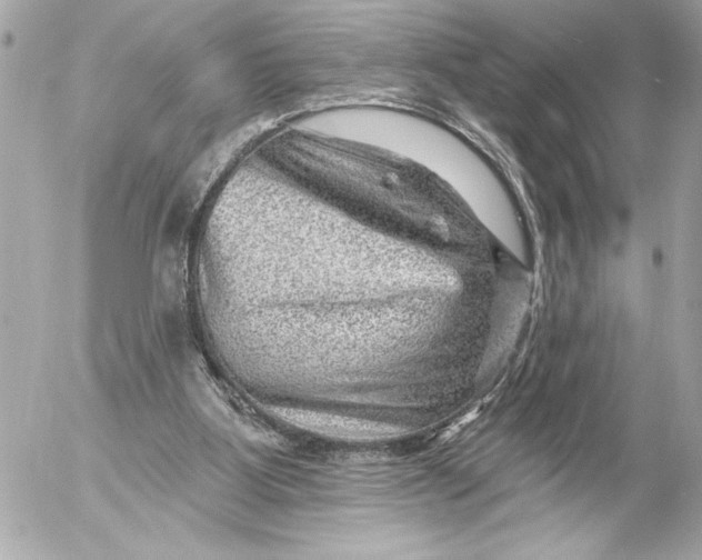 X0000054460107200508191712