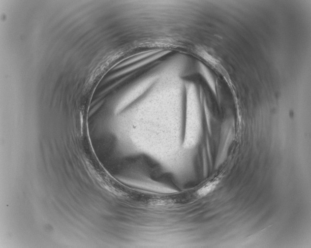 X0000054460109200508191712