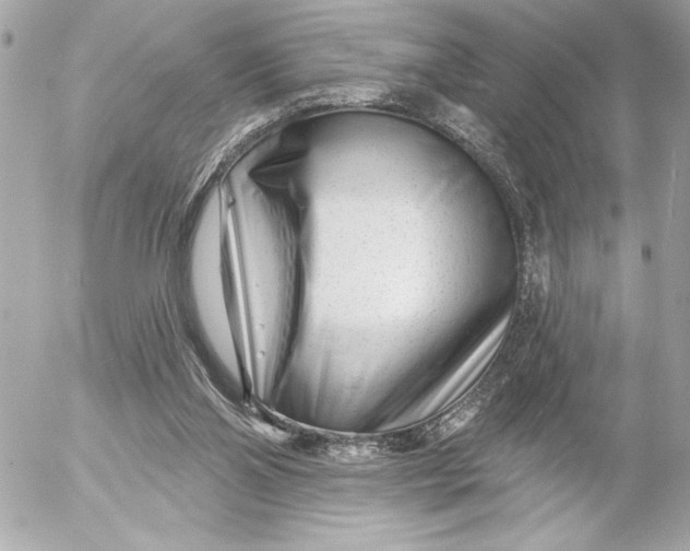 X0000054460110200508191712