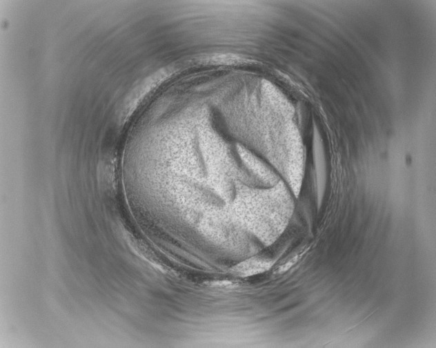 X0000054460111200508191712