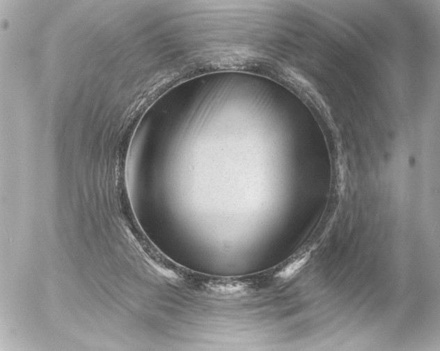 X0000054460113200508191712