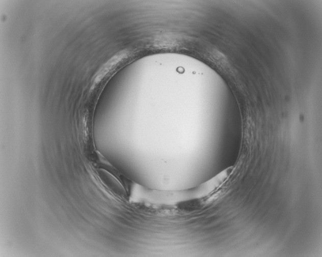 X0000054460116200508191712